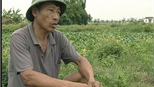 "Siêu" dự án nông nghiệp: Doanh nghiệp lật lọng?